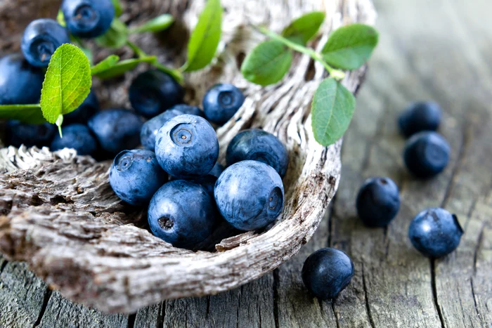 Borůvky jsou užitečné proti křečovým žilám / foto: Shutterstock