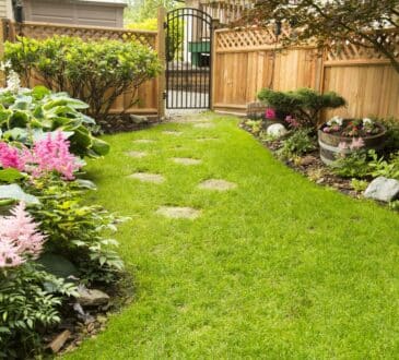 Krátký průvodce výběrem a správnou péčí o rustikální dřevěný plot