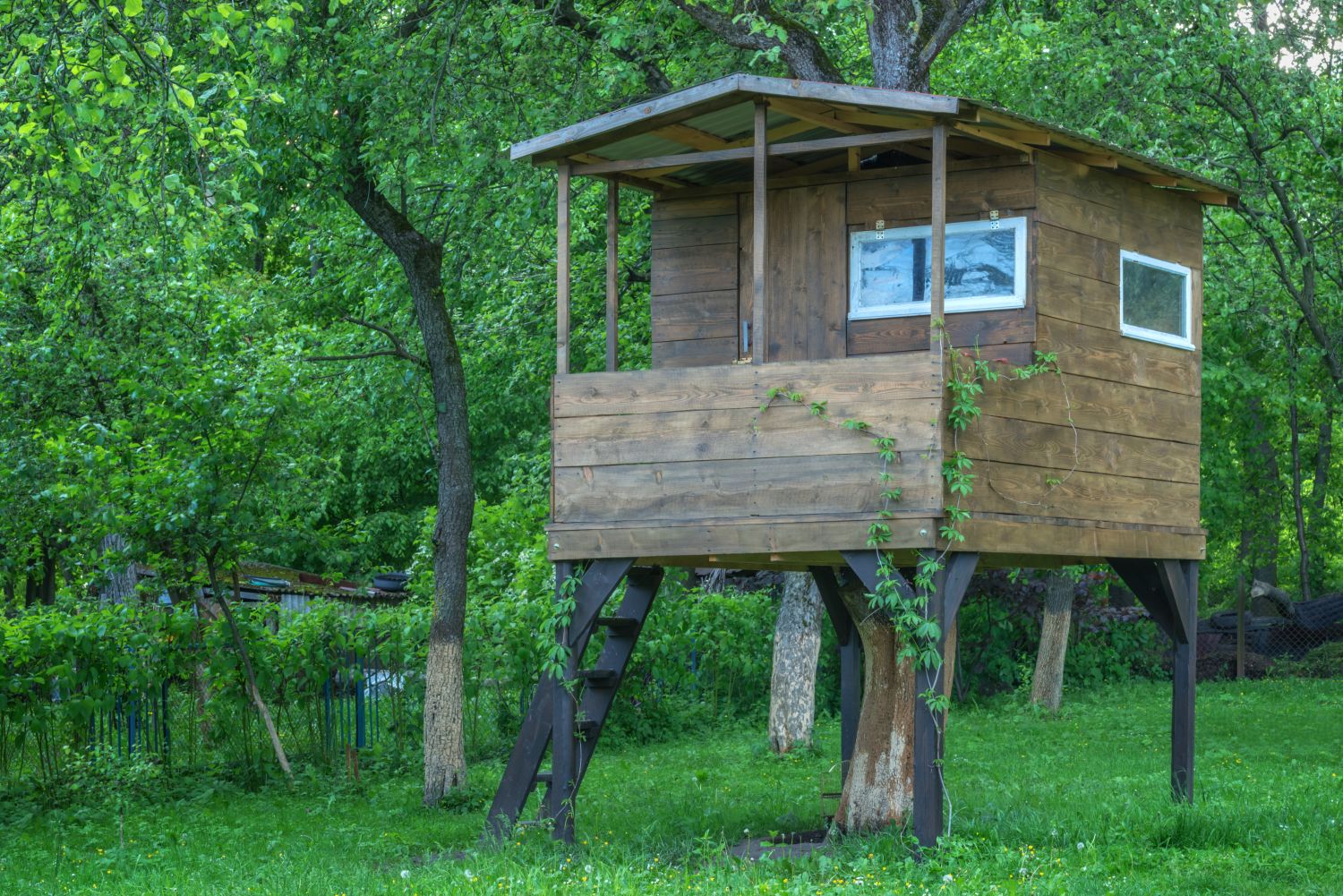 bezpečí domu na stromě