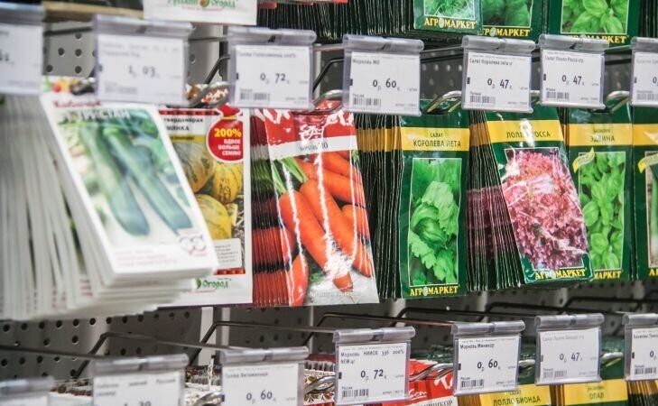 Tyto květiny je třeba vysévat jako sazenice již v lednu: na jaře nebudete mít dost záhonu