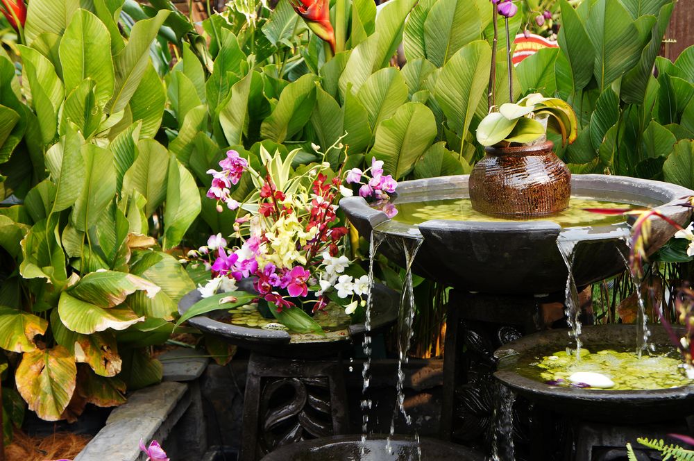 feng shui zahradu
