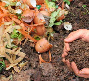 15 zahradních projektů, které je třeba udělat v karanténě