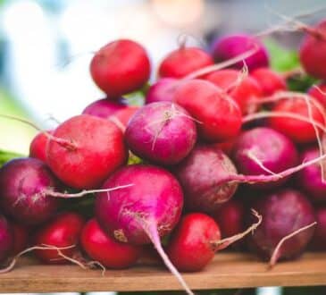 2 сорта редиски, которые удивят и гигантскими размерами, и сладким вкусом 