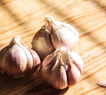 Чеснок