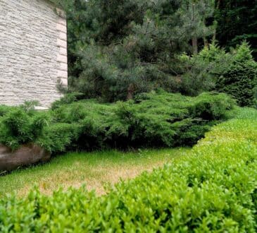 4 základní principy pro rustikální úpravu zahrady, kde můžete celé léto relaxovat