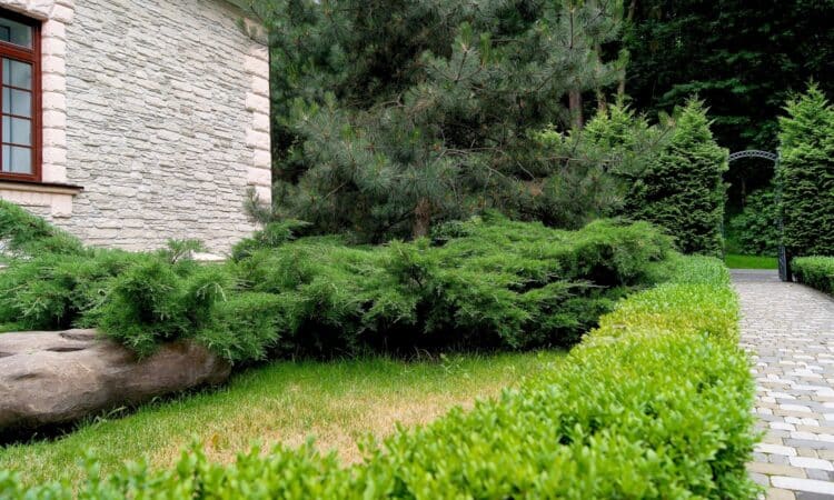 4 základní principy pro rustikální úpravu zahrady, kde můžete celé léto relaxovat