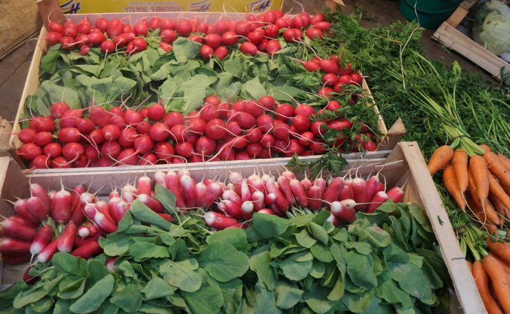 5 правил для тех, кому нужен отличный, обильный урожай редиса