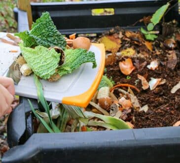 8 organických hnojiv pro zdravou zahradu