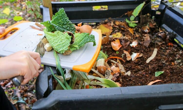 8 organických hnojiv pro zdravou zahradu