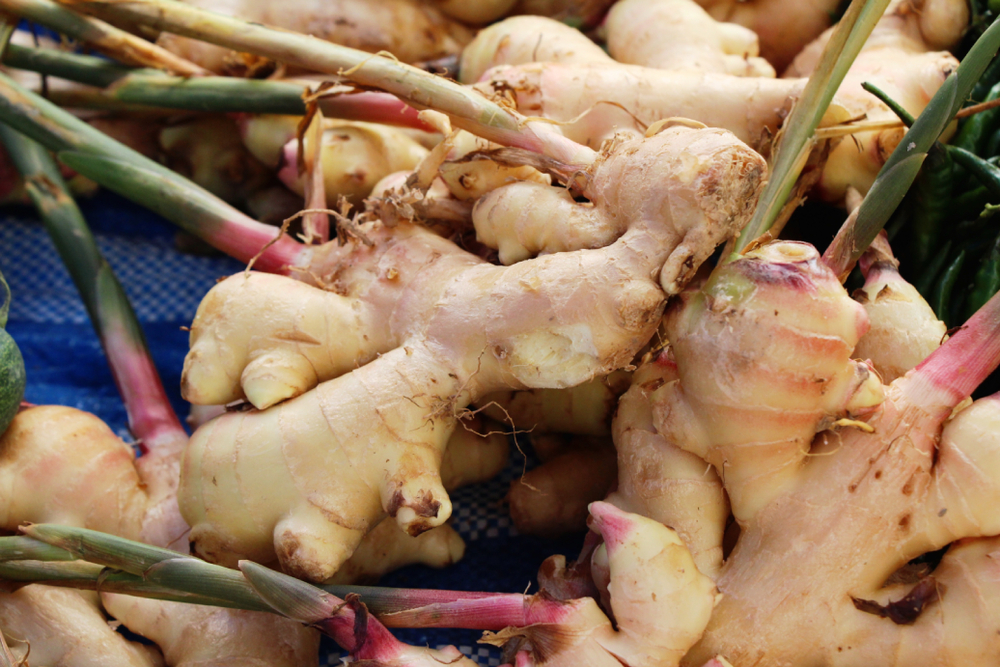 Jak sázet a pěstovat zeleninu ze zbytků, v květináčích nebo na zahradě
