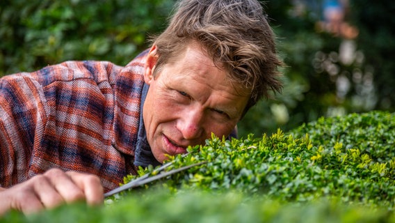 Peter Rasch řeže buxus © NDR Foto: Udo Tanske