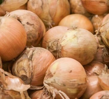 Лук, овощи