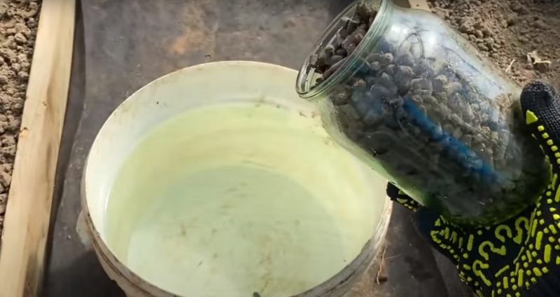 Tato domácí hnojiva na jahody určitě vyzkoušejte! Jahody se vám za vaši laskavost odvděčí BOHATOU úrodou