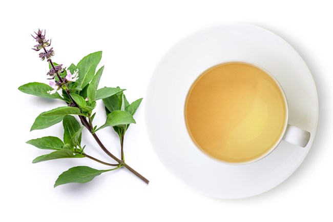 čaj s přírodní bazalkou posvátnou proti úzkosti