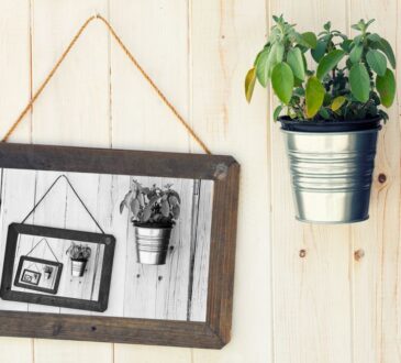 corpuri iluminat grădină feng shui