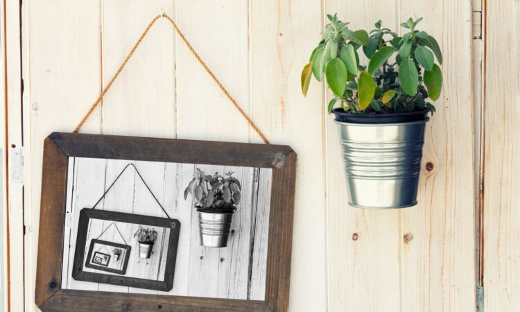 corpuri iluminat grădină feng shui
