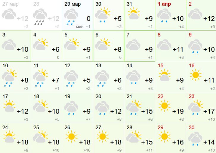 Gomel