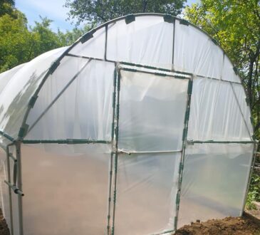 Jak postavit zeleninovou zahradu: doporučené materiály, triky a instalace