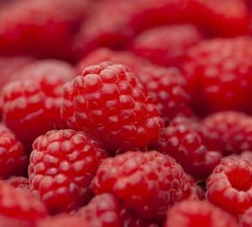 Как на участке исключить разрастание кустов малины