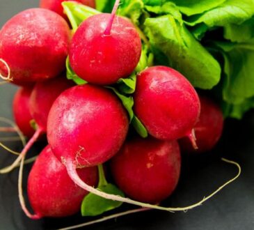 Редис