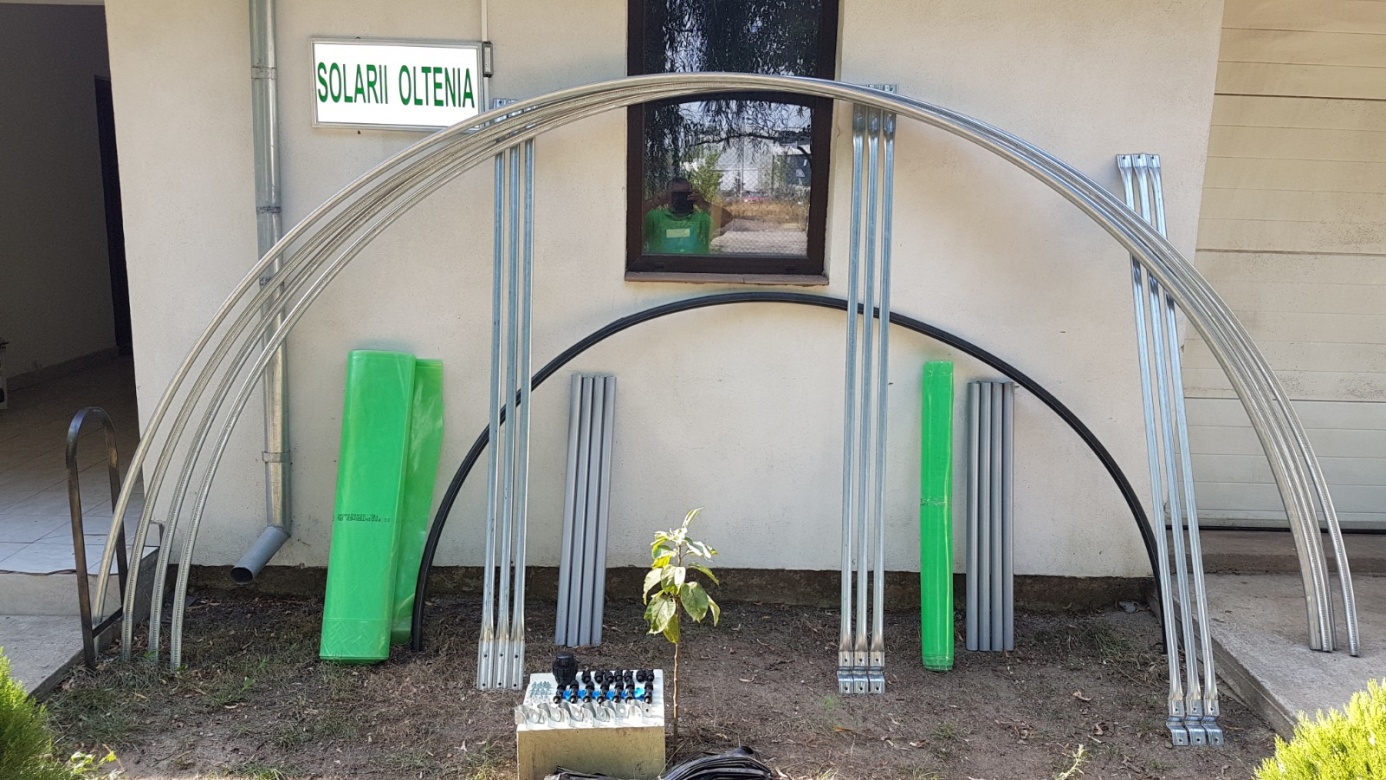 sada zeleninového solária