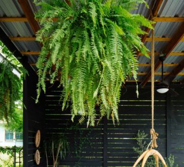 Kreativní zahradní nápady pro každé roční období