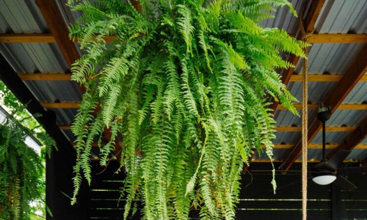 Kreativní zahradní nápady pro každé roční období