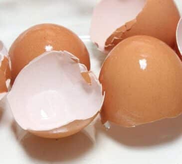 Какие растения нельзя удобрять яичной скорлупой: потеряете весь урожай