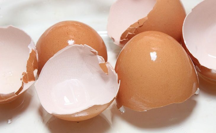 Какие растения нельзя удобрять яичной скорлупой: потеряете весь урожай
