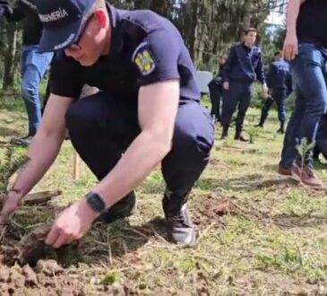 Měsíc lesa, oslavovaný ve velkém stylu. Policisté, četníci a děti zasadili stromky v lese ve Fântânele