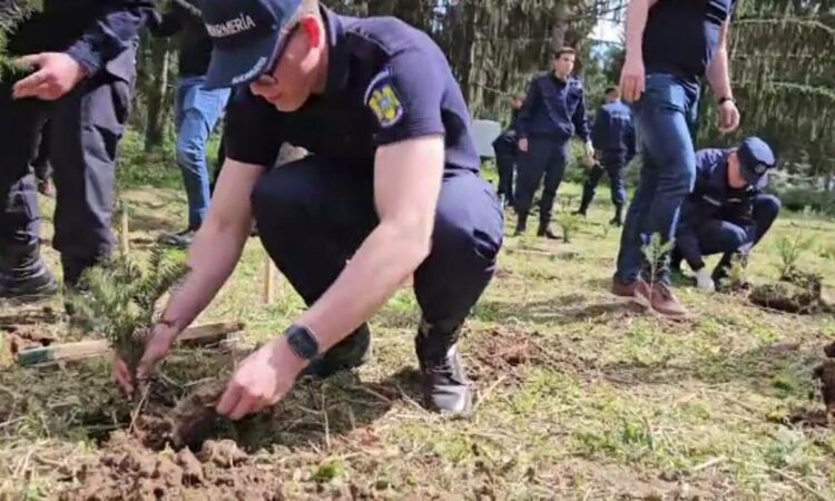 Měsíc lesa, oslavovaný ve velkém stylu. Policisté, četníci a děti zasadili stromky v lese ve Fântânele