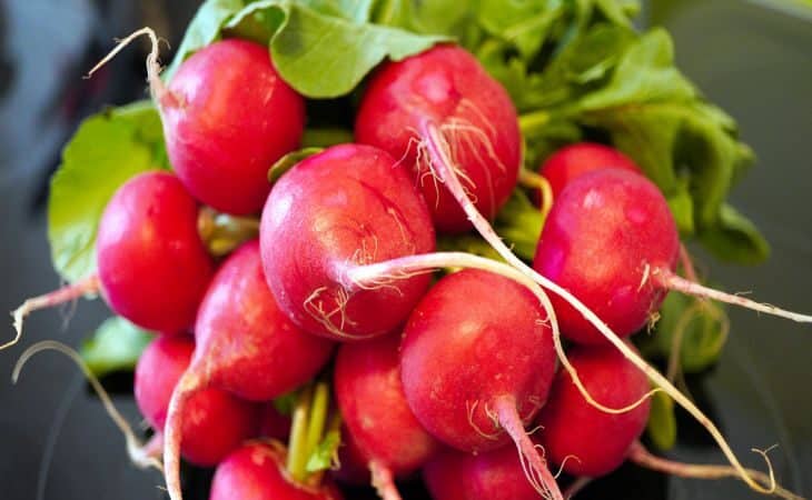 Редиска