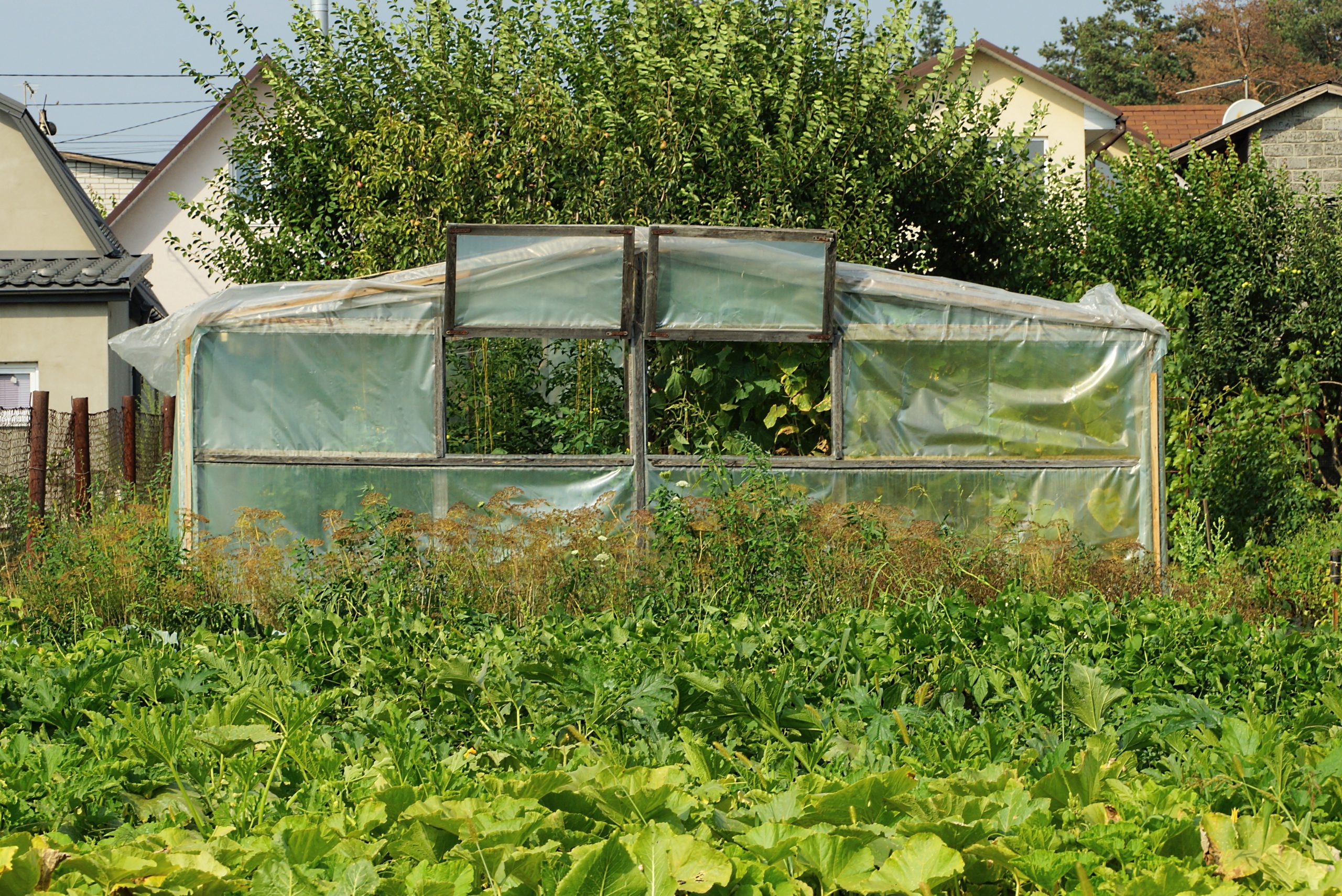 mini skleník z plastové fólie