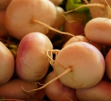 Секреты крупной редиски размером с яйцо: где чаще всего ошибаются огородники