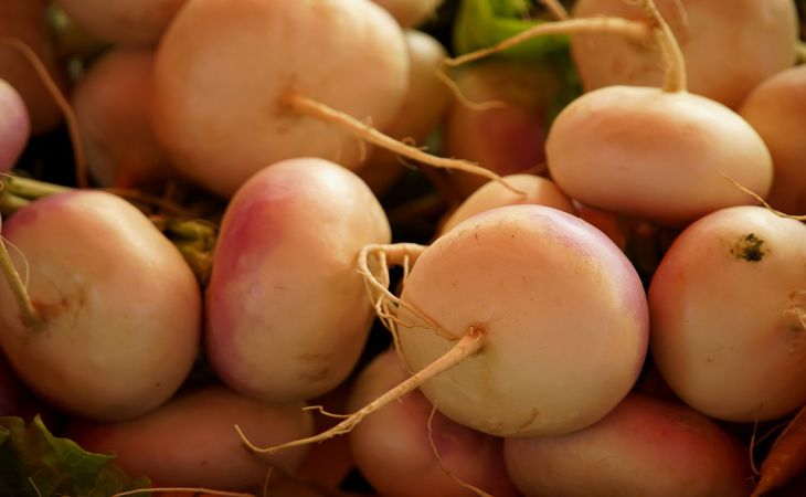 Секреты крупной редиски размером с яйцо: где чаще всего ошибаются огородники