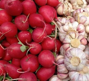 Редис и чеснок