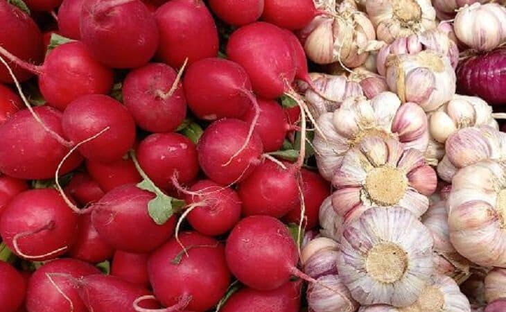 Редис и чеснок