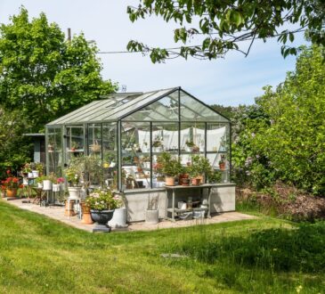 Vše, co potřebujete vědět před nákupem nebo stavbou mini skleníku
