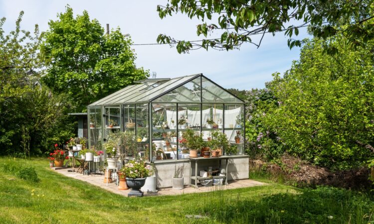 Vše, co potřebujete vědět před nákupem nebo stavbou mini skleníku