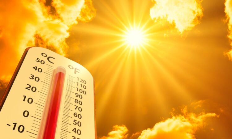 canicula, meteo, vremea