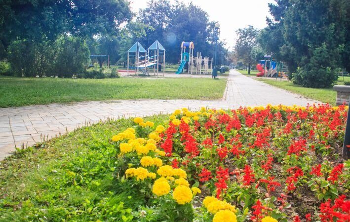Клумба