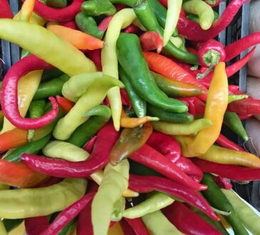 острый перец